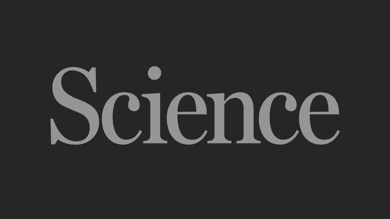 China bans electric capture of earthworms | Science