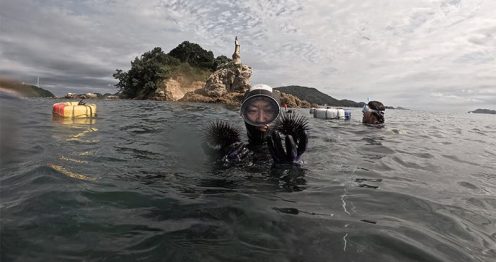 The Plight of Japan’s Ama Divers